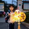 欧妮姿中秋灯笼diy手工制作材料中秋节儿童花灯兔子灯幼儿园led灯小灯笼 实拍图
