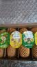 佳沛（zespri）新西兰阳光金奇异果10粒巨大果单果146-175g 猕猴桃水果礼盒 实拍图