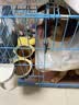 皇家狗粮 幼犬狗粮 宠物 小型犬 MIJ31 全价犬粮 2-10月 2KG 实拍图