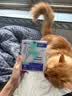 新宠之康宠物猫咪狗狗电解质葡萄糖粉能量恢复体弱虚钾钠液盐脱水中暑应激 实拍图