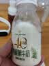 伊利金典3.8g乳蛋白鲜活纯牛奶250ml*8INF工艺30天常温短保中秋礼盒装 实拍图