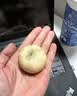 优卓银耳小米山药饼干早餐休闲零食品老年人健康营养胃非无蔗糖糕点 实拍图