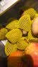 佳沛（zespri）新西兰金奇异果10粒巨大果146-175g猕猴桃中秋节礼品送水果礼盒 实拍图