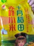 十月稻田 赤峰小米 1kg 内蒙古敖汉旗 黄小米杂粮 小米黄小米 实拍图