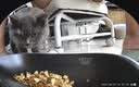 小佩AI宠物智能自动双子星喂食器可视版  实时视频监控(支持鸿蒙智联) 实拍图