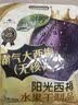 食味的初相阳光西梅霸气西梅干 无添加 孕妇零食健康零食独立小包装1斤 实拍图