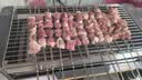 小熊（Bear）电烧烤炉烤串烤肉 电烧烤炉家用 烧烤电烤炉无浓烟全机可拆洗2100W双烤网烤盘DKL-G21P1 实拍图