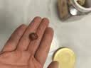 臻味格鲁吉亚开口榛子230g罐装大颗粒原味儿童孕妇休闲零食每日坚果 实拍图