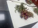 拜杰中药分装袋中药袋液体袋食品级可加热密封煎药袋50只*200ml储存袋 实拍图