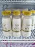 每日鲜语鲜牛奶 3.6g全脂211ml*6 家庭必备 巴氏杀菌乳 低温奶 实拍图