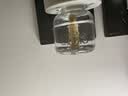 榄菊基孔肯雅热电蚊香液4瓶+1器 无香型电热蚊香液电蚊香防蚊驱蚊液 实拍图