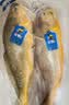 三都港 冷冻黄花鱼700g/2条装 大黄鱼深海鱼 生鲜鱼类 海鲜水产中秋礼品 实拍图