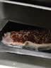 肉鲜厨师澳洲和牛M9原切牛排 净重2斤 进口谷饲450天羽下肉 实拍图