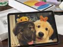Apple/苹果 iPad 11英寸 A16芯片2025年款 平板电脑 (256GB WLAN版/学习办公娱乐)银色 实拍图