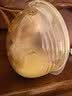 波咯咯（bololo）双边吸奶器电动无痛全自动吸乳微震通乳大吸力挤奶器 【新品·临床·专研款】微震V50免手扶随身杯 实拍图
