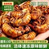 十里馋 知了猴新鲜金蝉2026大活体速冻爬叉候知了龟唐僧肉山东特产送礼 【甄选】鲜冻金蝉100只 实拍图