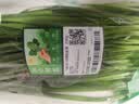 七鲜24小时绿色韭菜 250g 实拍图