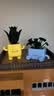 乐高（LEGO）积木10349 心动的信号同款快乐盆栽男女孩儿童玩具生日礼物 实拍图