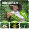 吉香居每日小菜25g*48袋 减盐榨菜萝卜干酸豆角泡椒豇豆礼盒 实拍图