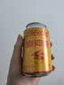 樂神康（LESHENKANG）本草植物型汽水 310ml*6罐 饮料 桐柏乐神康0糖0脂0卡气泡水送礼 实拍图