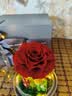 RoseBox生日礼物永生花小王子玫瑰花教师节结婚纪念送女朋友老师高级实用 实拍图