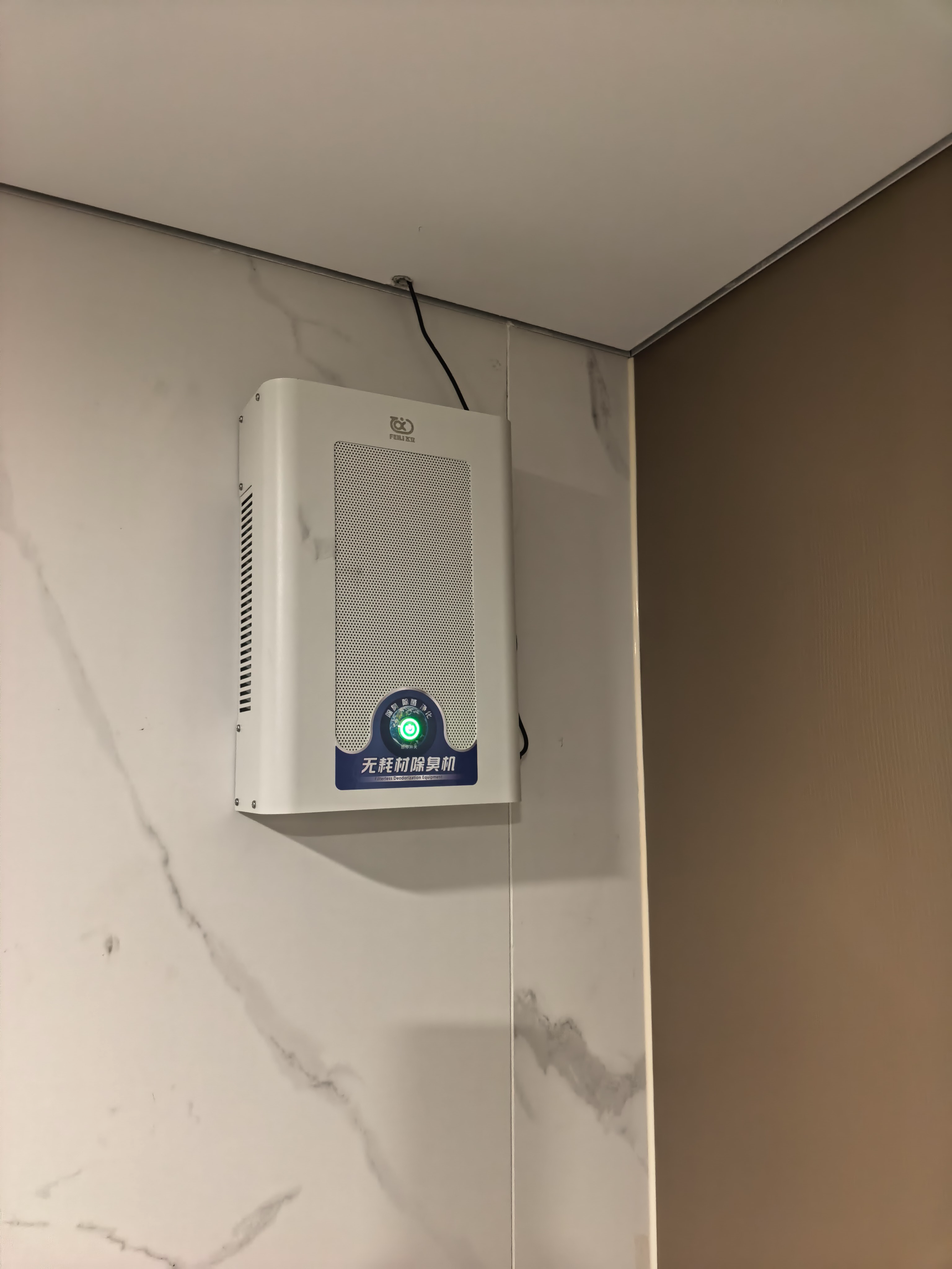 飞立臭氧发生器家用汽车杀菌除甲醛养殖场除臭氨气工业食品厂空间消毒机 FL-T6（室内家用） 实拍图