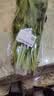 大菠菜300g 实拍图