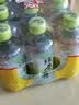 康师傅 绿茶 低糖茶饮料 小瓶整箱装 330ml*12瓶 热门商品 实拍图