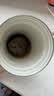 神农金康回奶宝 回奶茶大麦茶 炒麦芽搭回奶药宝妈回奶专用断奶退奶茶200g 实拍图