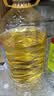 金龙鱼 食用油 非转基因 物理压榨玉米油6.18L（蕴含植物甾醇） 实拍图