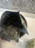 乐品乐茶毛尖茶叶特级明前春茶嫩芽2026新茶礼盒装250g冷泡茶绿茶自己喝 实拍图