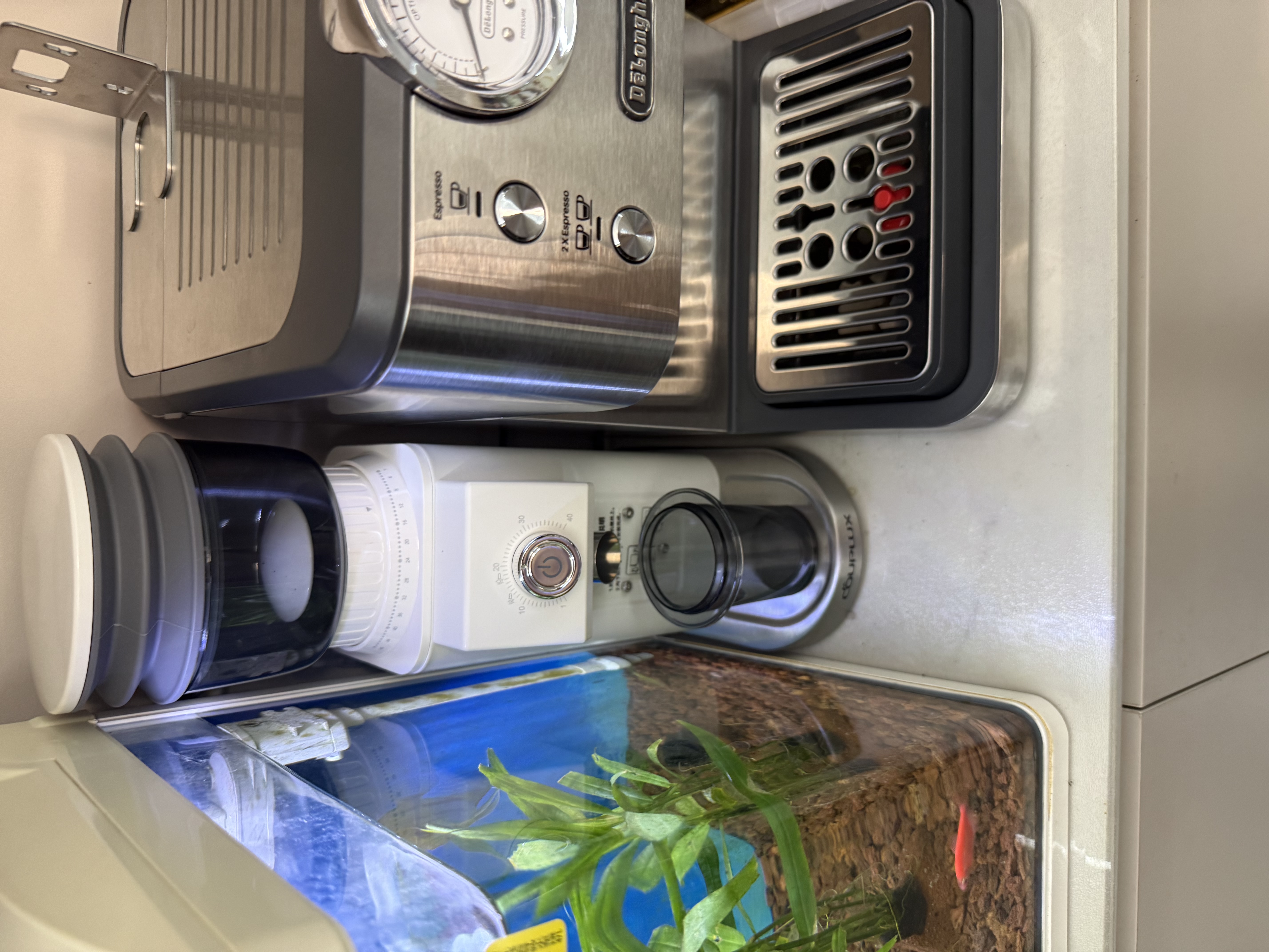 客浦CP203W咖啡磨豆机电动意式手冲家用小型全自动咖啡豆研磨机磨粉机 实拍图