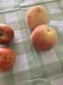 四万公里桌布小清新格子防水防油免洗ins风长方形餐桌布茶几桌垫布PVC露营 实拍图