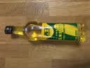 西王 食用油 玉米胚芽油900ml  非转基因物理压榨可烘焙小瓶食用油 实拍图