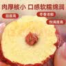 俏己食 新疆灰枣特级一级若羌特产大红枣25年新货未清洗货无添加零食2斤 实拍图