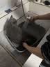 网易严选全价猫粮4.0成幼猫三文鱼亮毛养胃深海鱼虾1.8kg*4袋【宠物金选】 实拍图