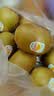 佳沛（zespri）新西兰金奇异果12粒特大果124-146g猕猴桃中秋节礼品送水果礼盒 实拍图