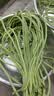 山东莘县大棚豇豆新鲜长豆角凉拌菜脆嫩鲜甜 农家精选带箱6斤装（净重5.2斤） 实拍图