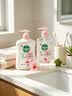 滴露（Dettol）洗手液抑菌消毒滋润500g+500g 补充装 儿童家庭护手替换装 实拍图