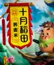 十月稻田 荞麦米 2斤 全谷物粗粮 五谷杂粮米 粥米伴侣 纯荞麦 实拍图