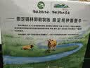 伊利金典双限定娟姗纯牛奶锡林郭勒牧场250ml*12中秋礼品礼盒装 实拍图