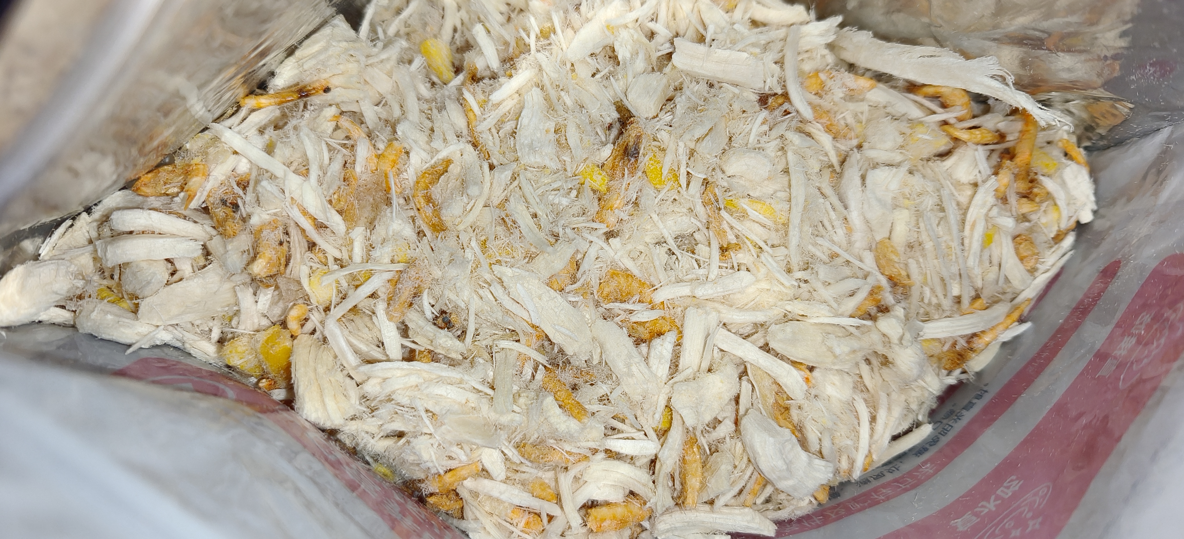 WEYES冻干鸡肉蛋黄磷虾肉松500g猫狗宠物零食犬粮伴侣营养高蛋白 实拍图