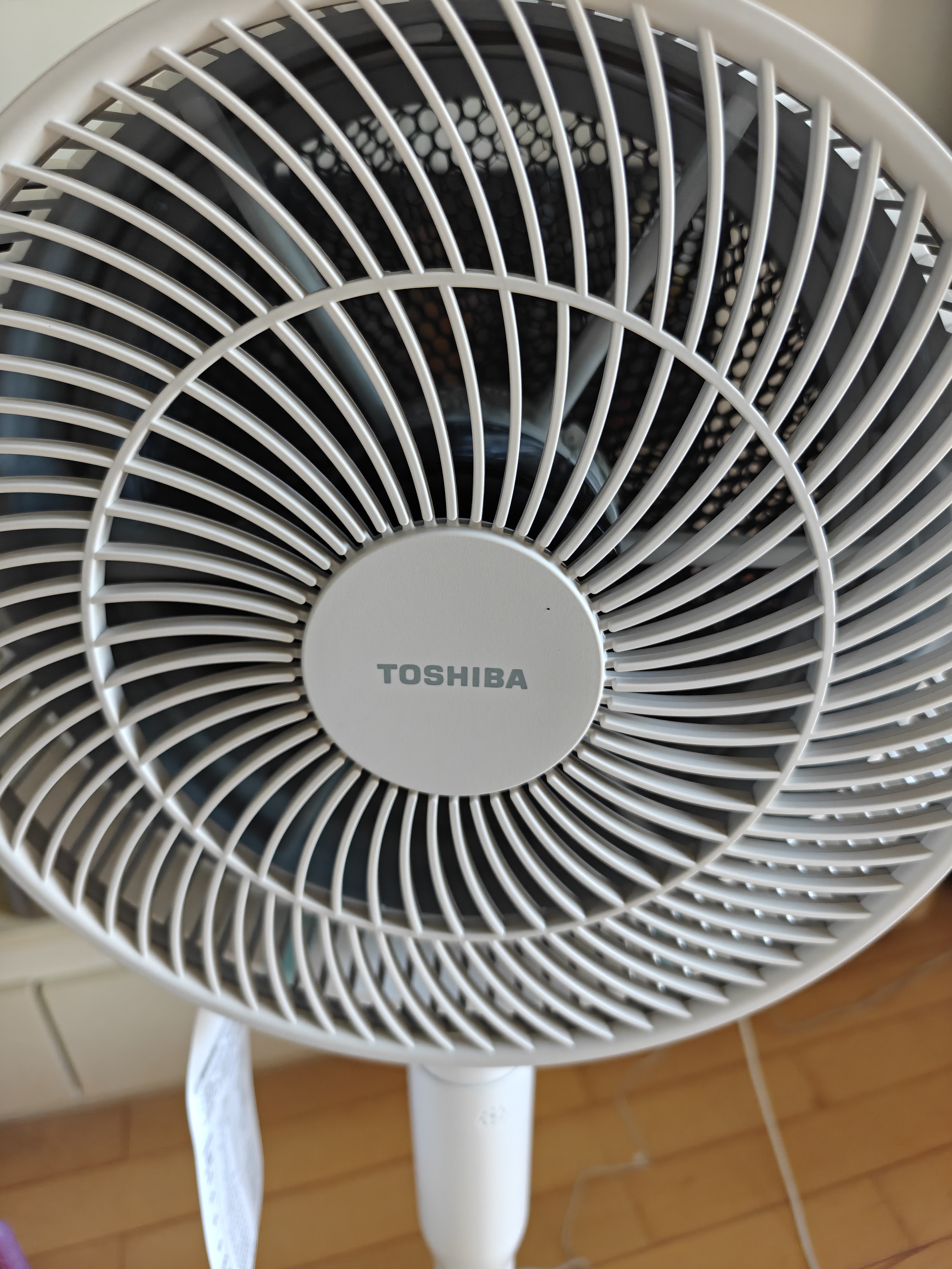 东芝（TOSHIBA）【花信风SE】电风扇落地扇直流变频电风扇轻音卧室加速除湿一级能效空气循环扇F-DSC650CN(W) 实拍图