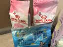 皇家猫粮 幼猫奶糕 幼猫猫粮 BK34 通用粮 1-4月 2KG 实拍图
