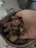 十月稻田 金钱菇 200g 干香菇 小香菇 山珍菌菇干货 煲汤火锅炒菜食材 实拍图