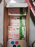 蒙牛全脂纯牛奶250ml*16盒 牛奶礼盒 电商定制送礼礼盒 实拍图