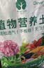 漫生活种菜营养土50L进口种植土壤养花土种菜土植物有机营养土盆栽园艺 实拍图
