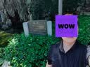 安踏型动POLO丨速干短袖t恤男士夏季透气翻领商务休闲通勤上衣男 实拍图