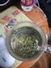 乐品乐茶特级明前碧螺春绿茶2026新茶浓香耐泡口粮茶叶250g冷泡茶自己喝 实拍图