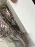 碧翠园黑巧生巧坚果燕麦脆饼干100g/盒高蛋白早餐代餐巧克力轻食零食 实拍图